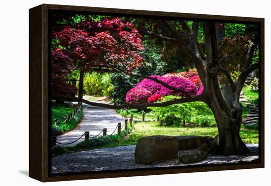 Japanese Garden III-Alan Hausenflock-Framed Stretched Canvas