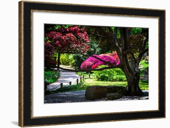 Japanese Garden III-Alan Hausenflock-Framed Photo