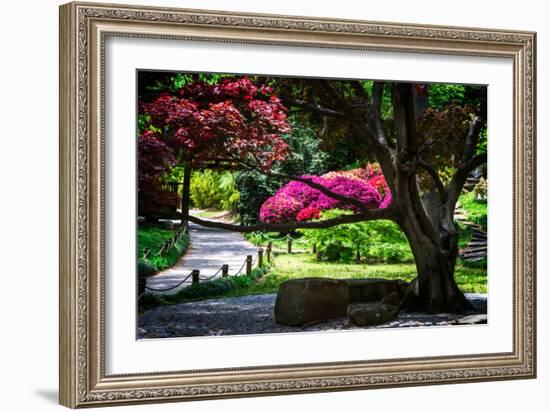 Japanese Garden III-Alan Hausenflock-Framed Photo