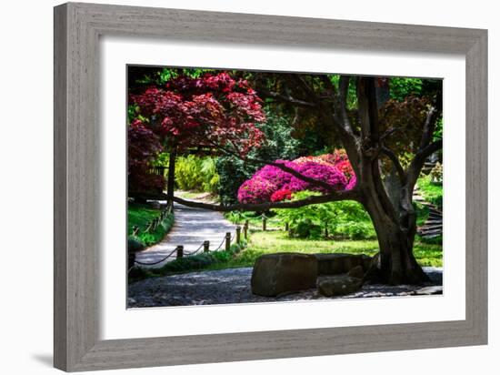 Japanese Garden III-Alan Hausenflock-Framed Photo