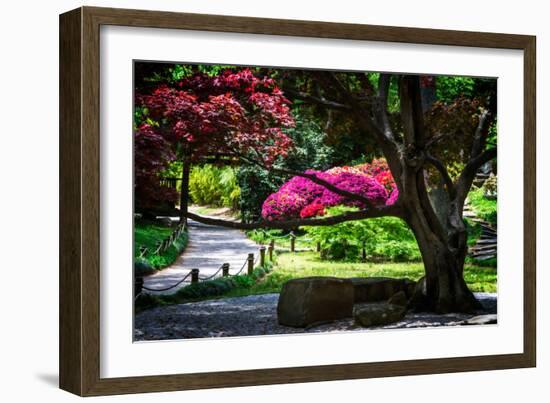 Japanese Garden III-Alan Hausenflock-Framed Photo