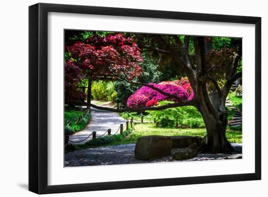 Japanese Garden III-Alan Hausenflock-Framed Photo