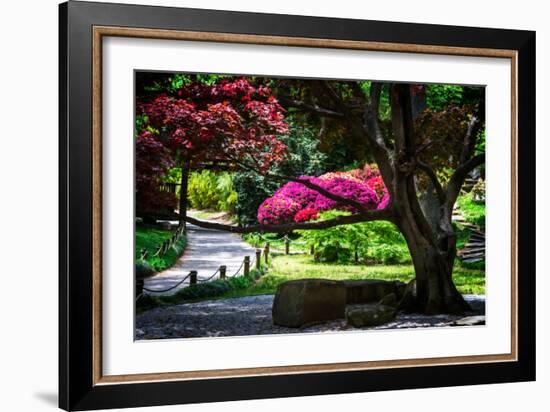 Japanese Garden III-Alan Hausenflock-Framed Photo