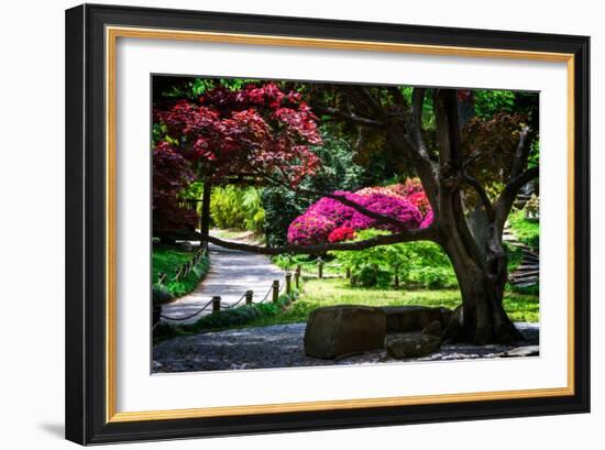 Japanese Garden III-Alan Hausenflock-Framed Photo