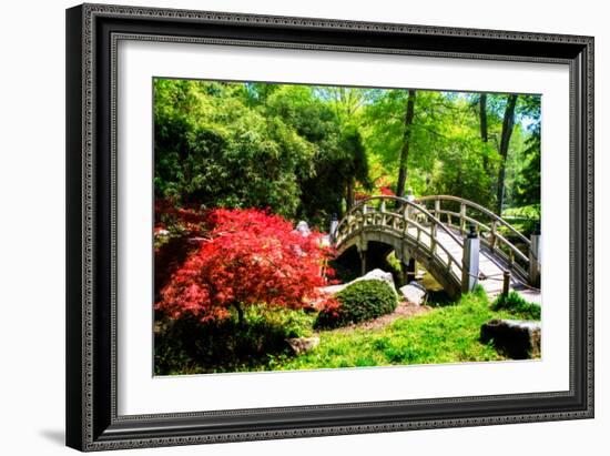 Japanese Garden IV-Alan Hausenflock-Framed Photo