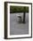 Japanese Garden, Japan-Angelo Cavalli-Framed Photographic Print