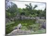 Japanese Garden of Nijo Castle, Kyoto, Japan-Shin Terada-Mounted Photographic Print