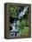 Japanese Garden, Portland, Oregon, USA-Adam Jones-Framed Premier Image Canvas