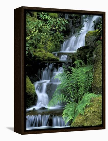 Japanese Garden, Portland, Oregon, USA-Adam Jones-Framed Premier Image Canvas