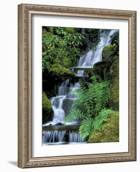 Japanese Garden, Portland, Oregon, USA-Adam Jones-Framed Photographic Print