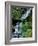 Japanese Garden, Portland, Oregon, USA-Adam Jones-Framed Photographic Print