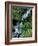 Japanese Garden, Portland, Oregon, USA-Adam Jones-Framed Photographic Print