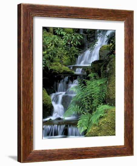 Japanese Garden, Portland, Oregon, USA-Adam Jones-Framed Photographic Print