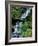 Japanese Garden, Portland, Oregon, USA-Adam Jones-Framed Photographic Print