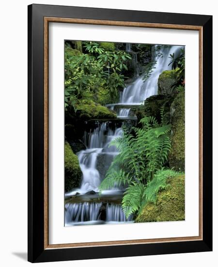 Japanese Garden, Portland, Oregon, USA-Adam Jones-Framed Photographic Print