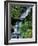 Japanese Garden, Portland, Oregon, USA-Adam Jones-Framed Photographic Print