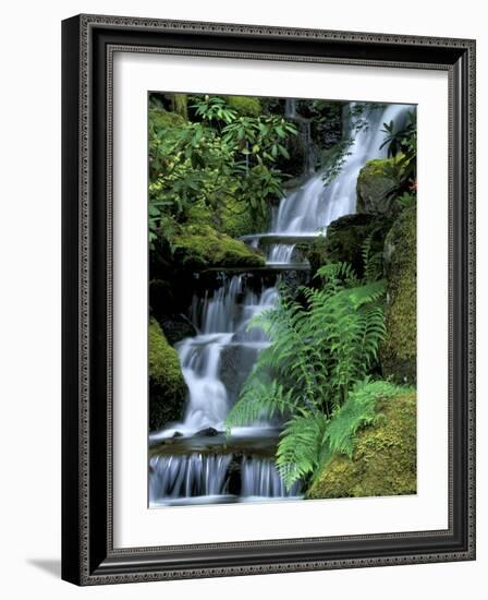 Japanese Garden, Portland, Oregon, USA-Adam Jones-Framed Photographic Print