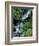 Japanese Garden, Portland, Oregon, USA-Adam Jones-Framed Photographic Print