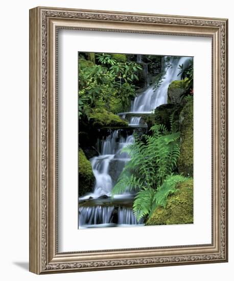 Japanese Garden, Portland, Oregon, USA-Adam Jones-Framed Photographic Print