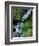 Japanese Garden, Portland, Oregon, USA-Adam Jones-Framed Photographic Print