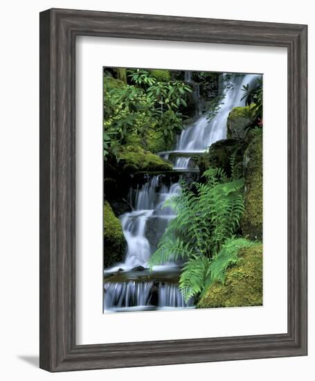 Japanese Garden, Portland, Oregon, USA-Adam Jones-Framed Photographic Print