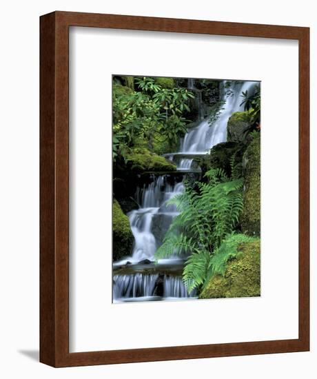 Japanese Garden, Portland, Oregon, USA-Adam Jones-Framed Photographic Print