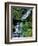 Japanese Garden, Portland, Oregon, USA-Adam Jones-Framed Photographic Print