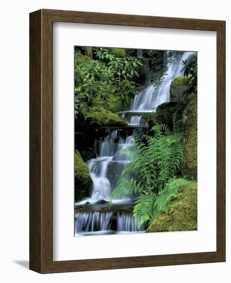 Japanese Garden, Portland, Oregon, USA-Adam Jones-Framed Photographic Print