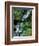 Japanese Garden, Portland, Oregon, USA-Adam Jones-Framed Photographic Print