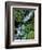 Japanese Garden, Portland, Oregon, USA-Adam Jones-Framed Photographic Print