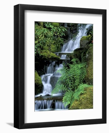 Japanese Garden, Portland, Oregon, USA-Adam Jones-Framed Photographic Print