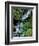 Japanese Garden, Portland, Oregon, USA-Adam Jones-Framed Photographic Print