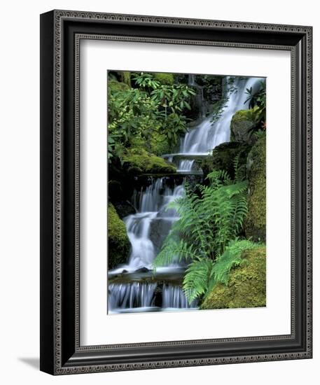 Japanese Garden, Portland, Oregon, USA-Adam Jones-Framed Photographic Print