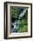 Japanese Garden, Portland, Oregon, USA-Adam Jones-Framed Photographic Print