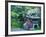 Japanese Garden, Seattle Arboretum, Seattle, Washington, USA-Rob Tilley-Framed Photographic Print