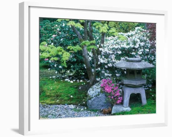 Japanese Garden, Seattle Arboretum, Seattle, Washington, USA-Rob Tilley-Framed Photographic Print