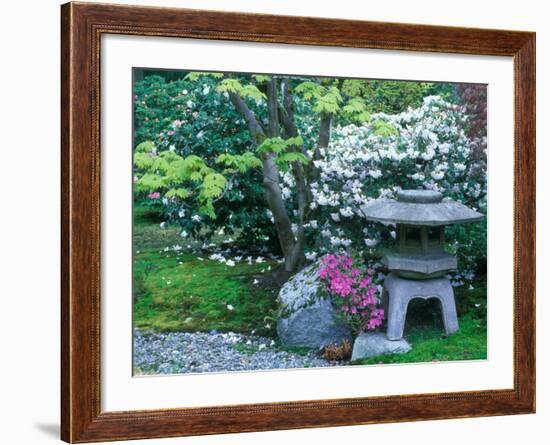 Japanese Garden, Seattle Arboretum, Seattle, Washington, USA-Rob Tilley-Framed Photographic Print