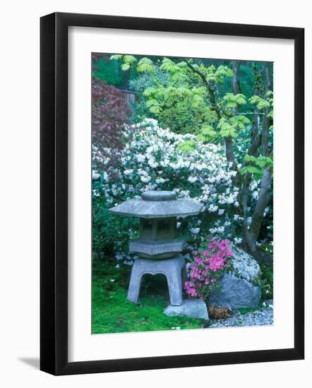 Japanese Garden, Seattle Arboretum, Seattle, Washington, USA-Rob Tilley-Framed Photographic Print