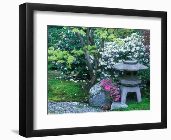 Japanese Garden, Seattle Arboretum, Seattle, Washington, USA-Rob Tilley-Framed Photographic Print