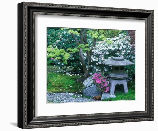 Japanese Garden, Seattle Arboretum, Seattle, Washington, USA-Rob Tilley-Framed Photographic Print