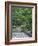 Japanese Garden Stone Bridge in Washington Park Arboretum, Seattle, Washington, USA-Jamie & Judy Wild-Framed Photographic Print