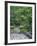 Japanese Garden Stone Bridge in Washington Park Arboretum, Seattle, Washington, USA-Jamie & Judy Wild-Framed Photographic Print