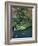 Japanese Garden, Tokyo, Japan-Rob Tilley-Framed Photographic Print