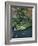 Japanese Garden, Tokyo, Japan-Rob Tilley-Framed Photographic Print