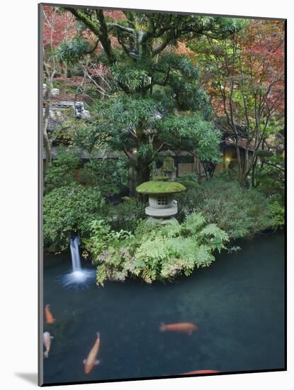 Japanese Garden, Tokyo, Japan-Rob Tilley-Mounted Photographic Print