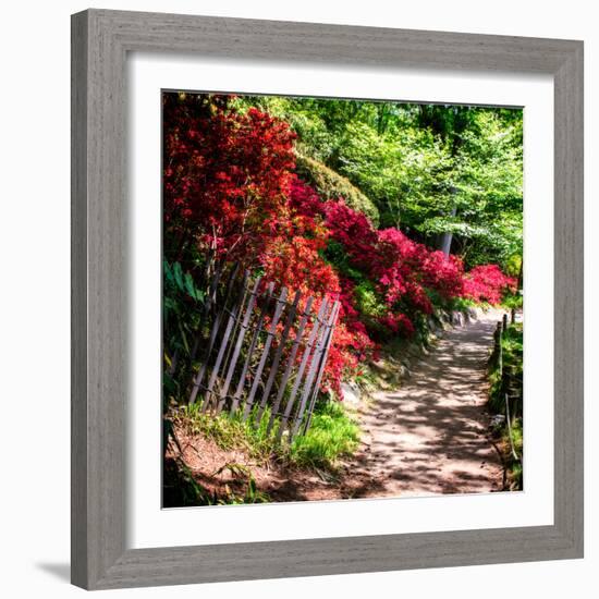 Japanese Garden VI-Alan Hausenflock-Framed Photo