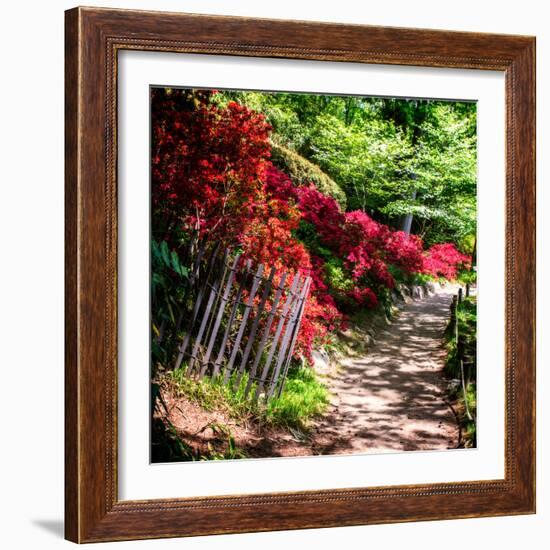 Japanese Garden VI-Alan Hausenflock-Framed Photo