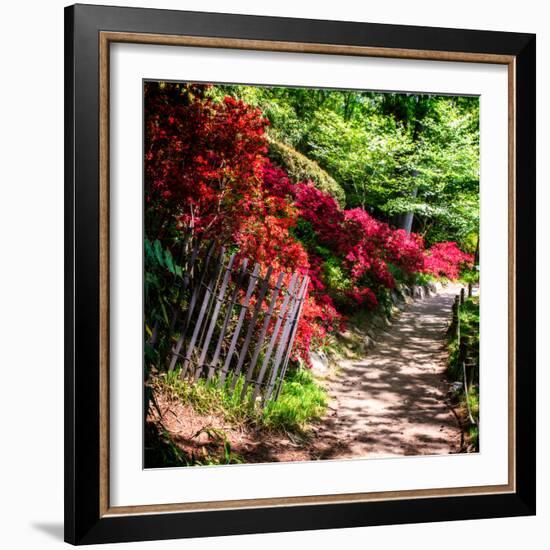 Japanese Garden VI-Alan Hausenflock-Framed Photo