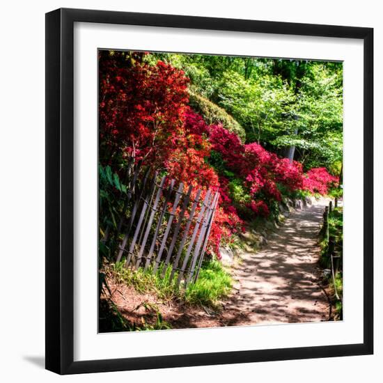 Japanese Garden VI-Alan Hausenflock-Framed Photo