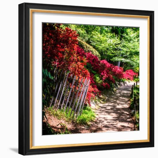 Japanese Garden VI-Alan Hausenflock-Framed Photo